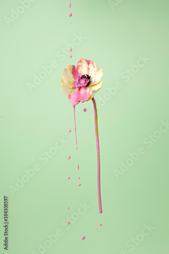 Creative autumn layout made of flower with dripping pink paint on pastel background. Minimal fall or floral concept. © Aleksandar