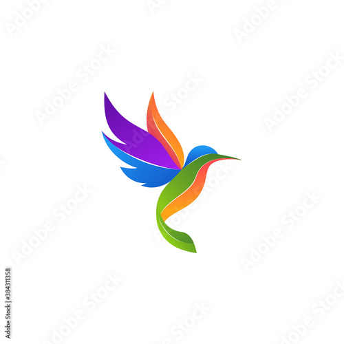 Modern colorful hummingbird logo illustration