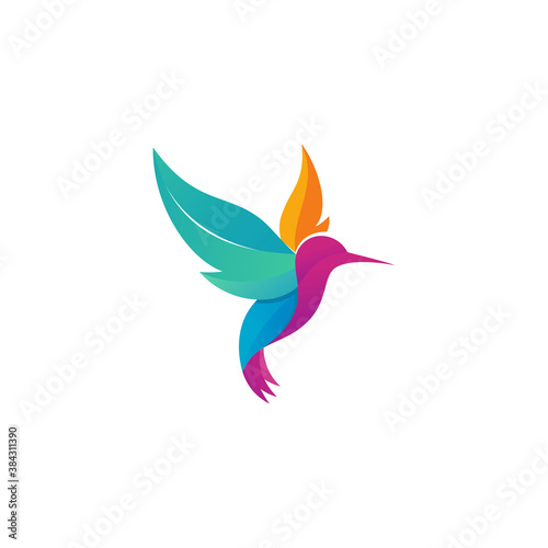 Modern colorful hummingbird logo illustration