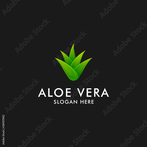 Aloe vera logo design. herbal plant icon symbol vector