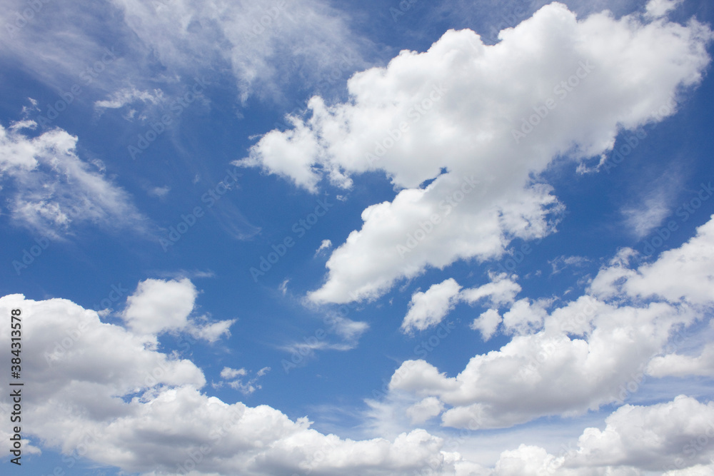 Fototapeta premium 青空と夏の白い雲