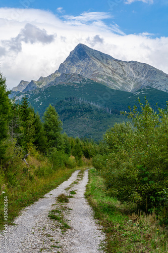 A forest road with Krivan (Krywan) in the background. Tatra Mountains in Slovakia.