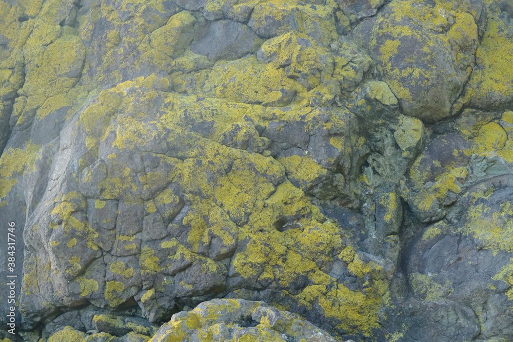 Background from a stone of igneous rock. Wallpaper made of textures of boulders of volcanic origin. Surface of granite, diabase, gabbro interspersed with spar, quartz. Sea shore. Day. Georgia. Background from a stone of igneous rock. Wallpaper made of textures of boulders of volcanic origin. Surface of granite, diabase, gabbro interspersed with spar, quartz. Sea shore. Day. Georgia.