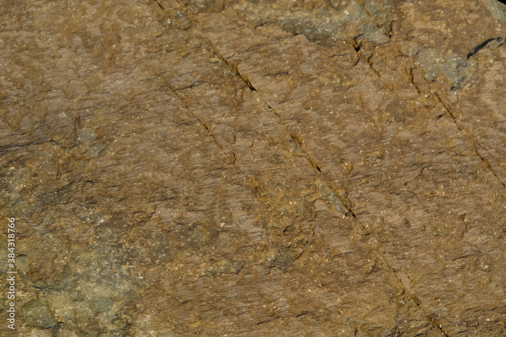 Background from a stone of igneous rock. Wallpaper made of textures of boulders of volcanic origin. Surface of granite, diabase, gabbro interspersed with spar, quartz. Sea shore. Day. Georgia. Background from a stone of igneous rock. Wallpaper made of textures of boulders of volcanic origin. Surface of granite, diabase, gabbro interspersed with spar, quartz. Sea shore. Day. Georgia.