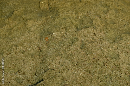 Background from a stone of igneous rock. Wallpaper made of textures of boulders of volcanic origin. Surface of granite, diabase, gabbro interspersed with spar, quartz. Sea shore. Day. Georgia. photo