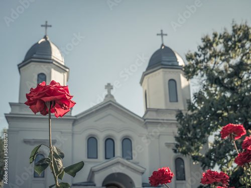 Picture of a red rose with a orthodox church in the background. © Cristi