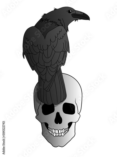 A black raven sits on a grinning human skull. Occultism, ritual, black magic and witchcraft. Vector