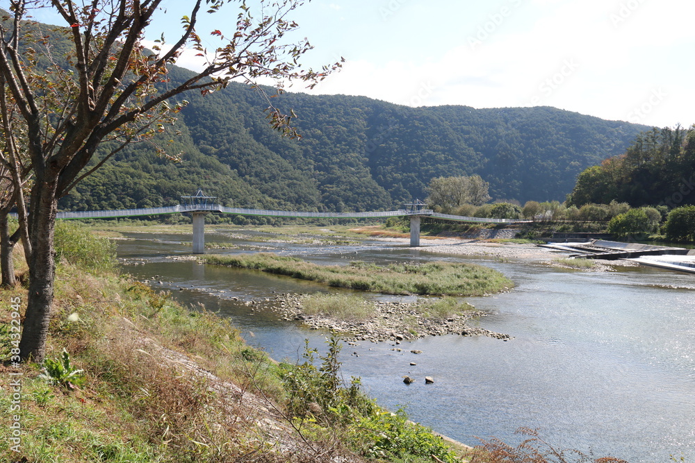 Fototapeta premium landscape with river