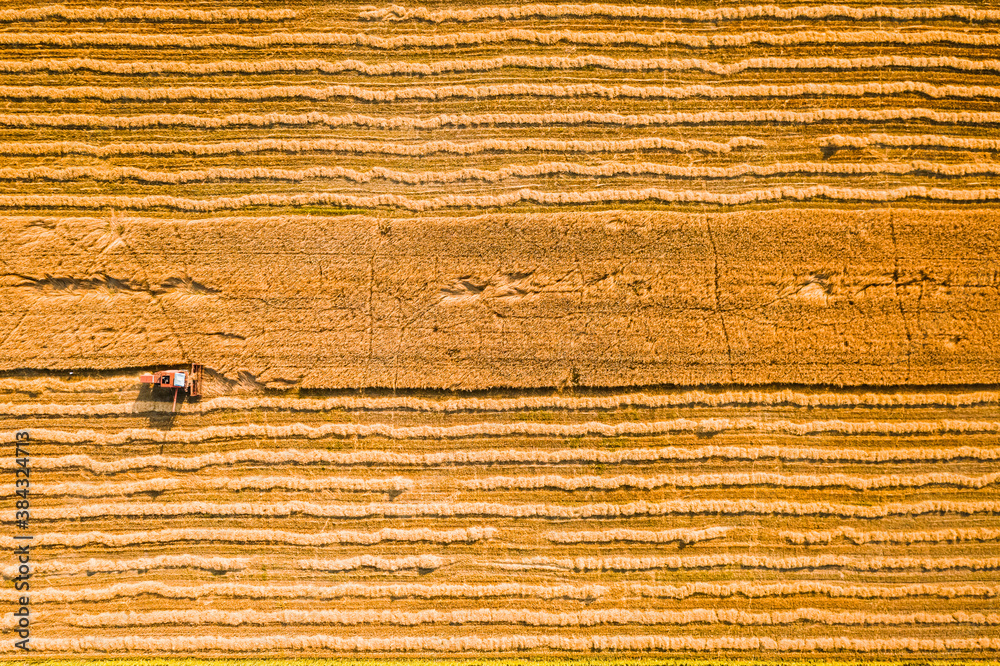 Aerial view of red harvester on field in summer Aerial view of red harvester on field in summer