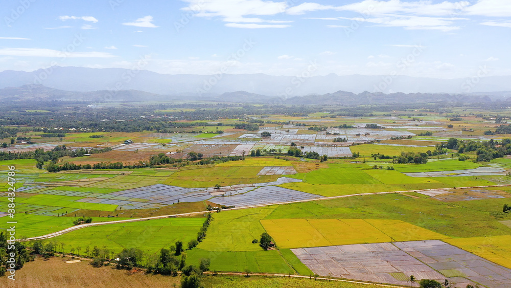 Tropical landscape: Agricultural land with plantings against a background of mountains and blue sky. Mindanao, Philippines.