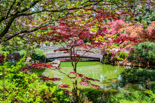 Fototapeta Naklejka Na Ścianę i Meble -  Colorful park in Japanese style. Manito Park and Botanical Gardens, Spokane, Washington, United States