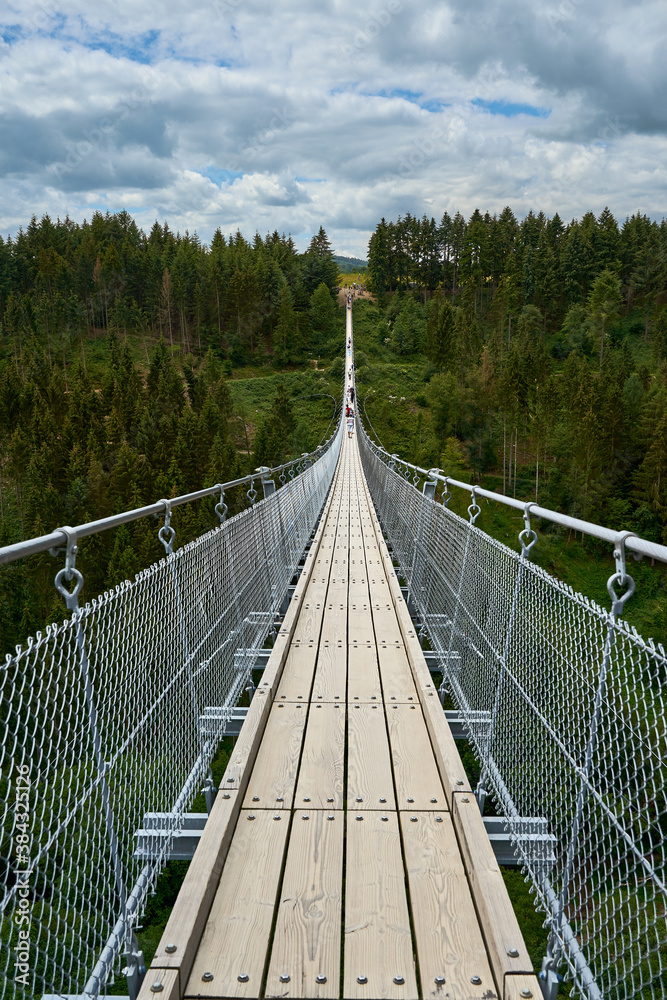 Fototapeta premium Geierlay is a suspension bridge in the low mountain range of the Hunsrück in western Germany. 