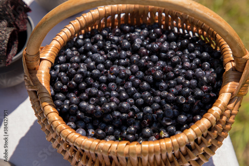 a basket of ripe blueberries