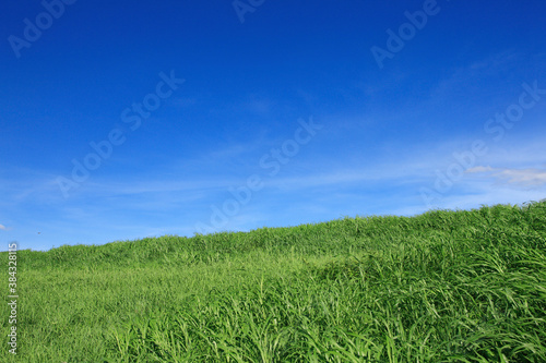草原と青空
