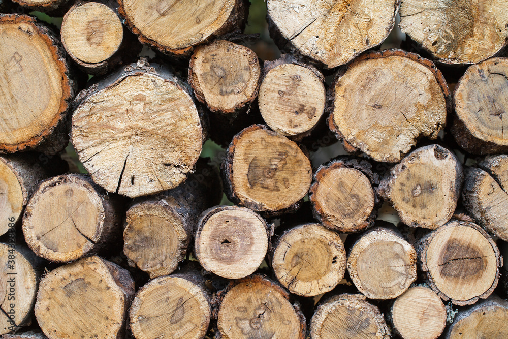 Wooden sawn logs stacked in a rack one on one.