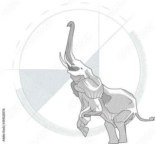 Line Art Elephant illustration Design