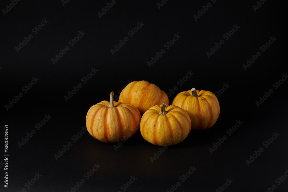 Pumpkins in the black background ready for Halloweens and fall festivities Pumpkins in the black background ready for Halloweens and fall festivities