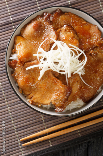Originated in Hokkaido, Japan, Butadon is a rice bowl dish featuring grilled pork slices with caramelized soy sauce closeup on the table. Vertical top view from above