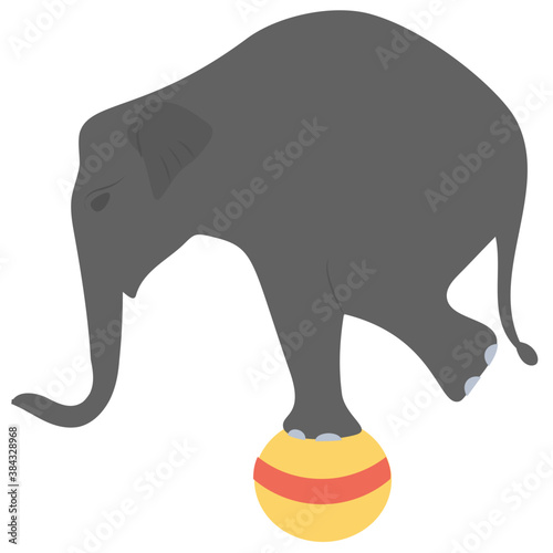 
An elephant with ball showing elephant circus 
