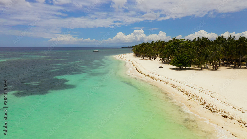 Beautiful tropical island with sand beach. Panglao, Philippines. Seascape with beautiful beach and palm trees.