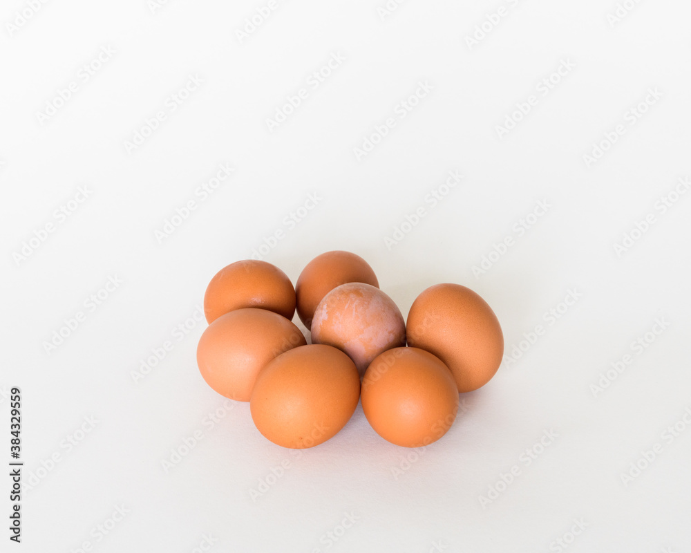 Brown eggs in the white background Brown eggs in the white background