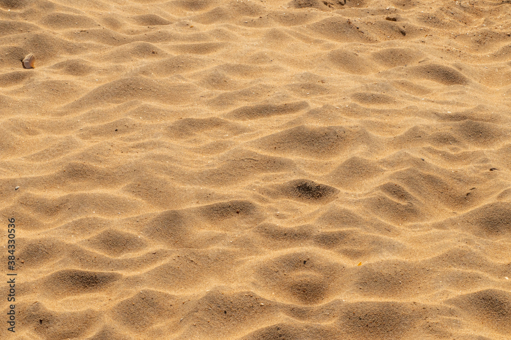 Fototapeta premium ripples in the sand