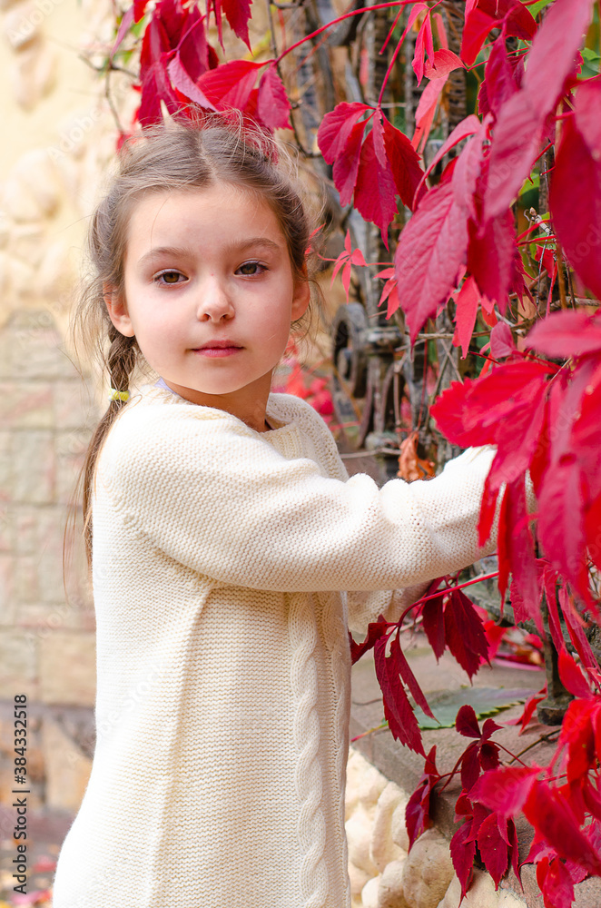 Little girl in a white knitted dress standing near a wall with red grape leaves in an autumn Park in the evening. Child smiling and holding the leaves in hand. Little girl in a white knitted dress standing near a wall with red grape leaves in an autumn Park in the evening. Child smiling and holding the leaves in hand.