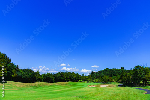 Fototapeta Naklejka Na Ścianę i Meble -  Fairway of Japanese golf course