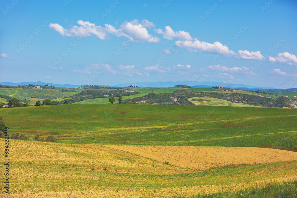 Summer rural landscape. Countryside. Wheat fields and cloudy sky