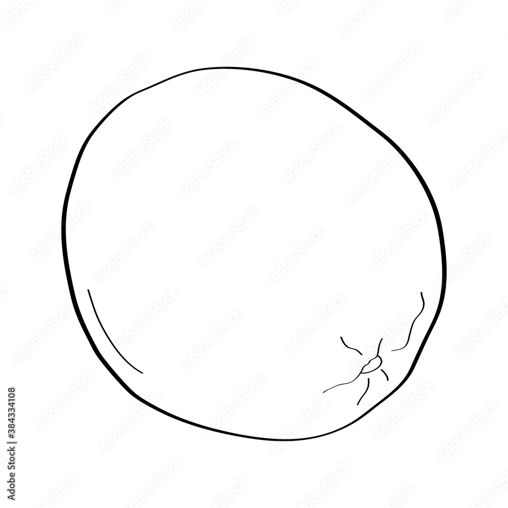 Orange. Hand drawn doodle icon. Vector black and white illustration isolated on white background. Decoration for greeting cards, posters, patches, prints for clothes, emblems.