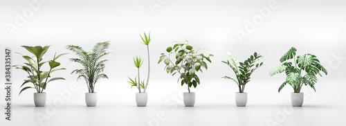 Canvas Print Set of tropical green plants in pots. Home decoration assets