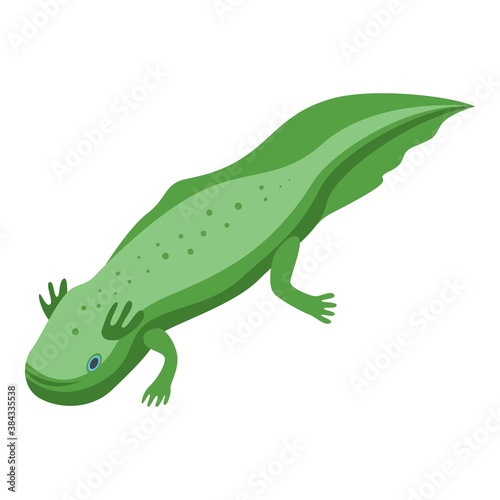 Mexican axolotl icon. Isometric of mexican axolotl vector icon for web design isolated on white background © ylivdesign