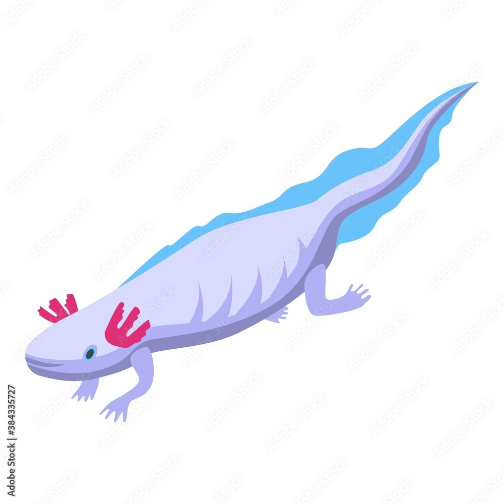 Obraz premium Water salamander icon. Isometric of water salamander vector icon for web design isolated on white background