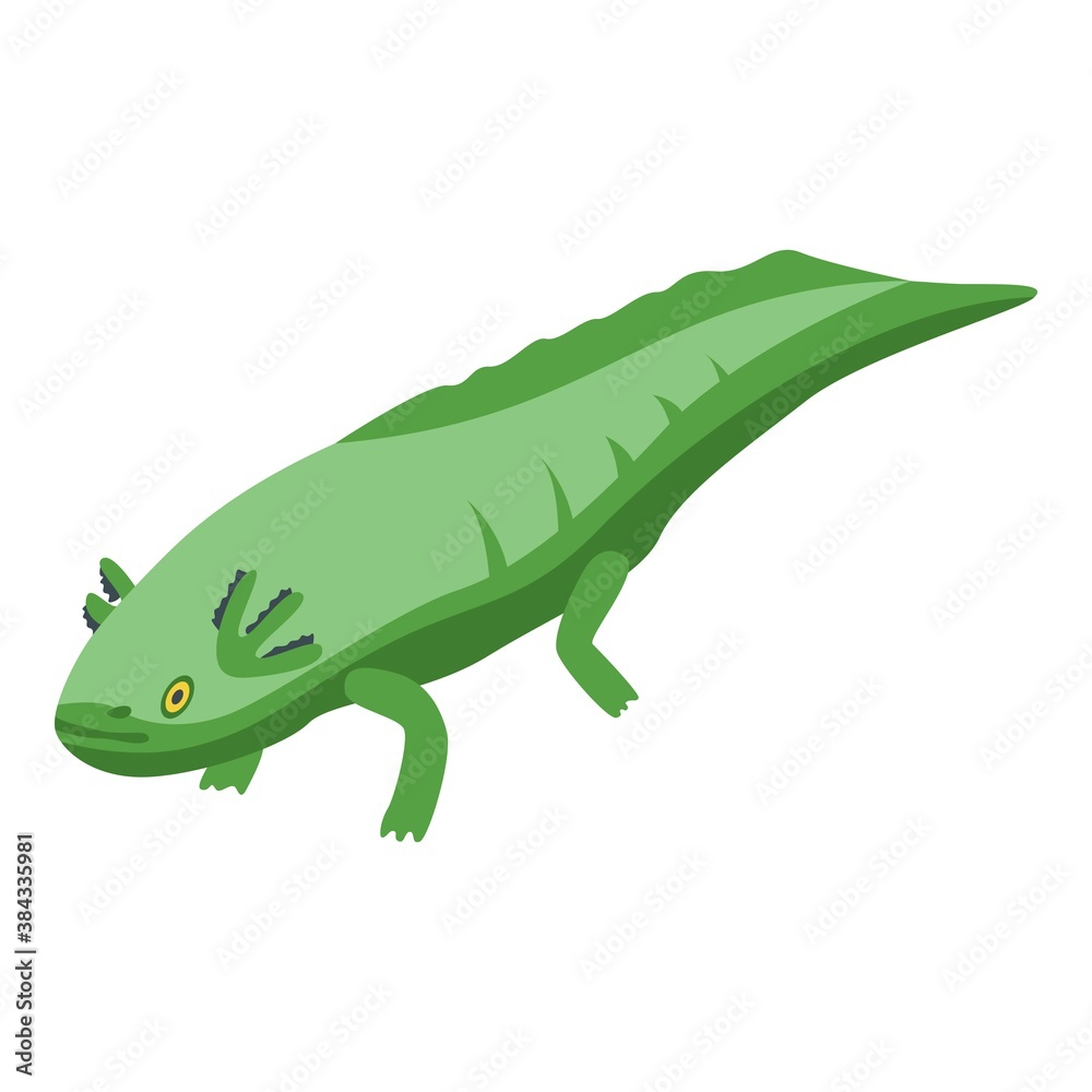 Fototapeta premium Walking fish icon. Isometric of walking fish vector icon for web design isolated on white background