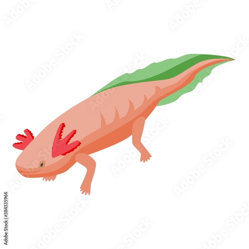 Lake axolotl icon. Isometric of lake axolotl vector icon for web design isolated on white background
