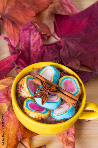 cup of chocolate with marshmallows and cinnamon