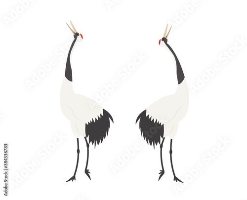 鶴　タンチョウ　求愛