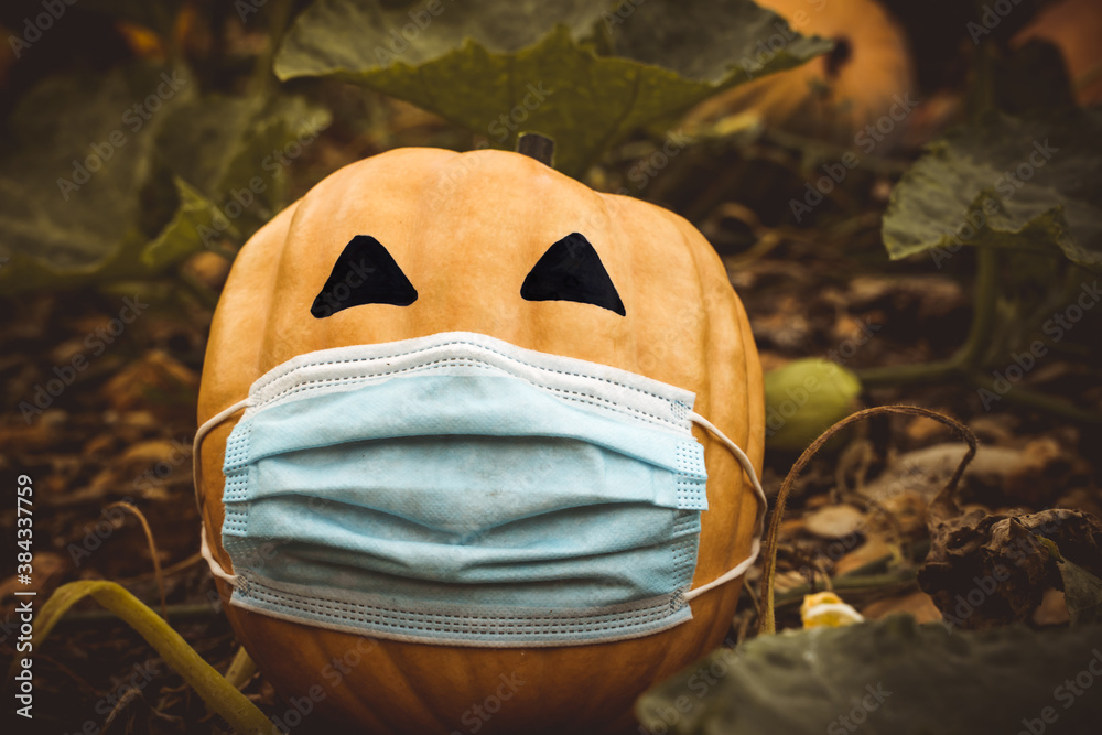 natural halloween pumpkin masked by the coronavirus pandemic, covid 19 - obrazy, fototapety, plakaty 