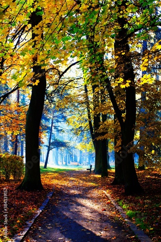 Autumn in the spa park Turcianske Teplice in Slovakia. photo