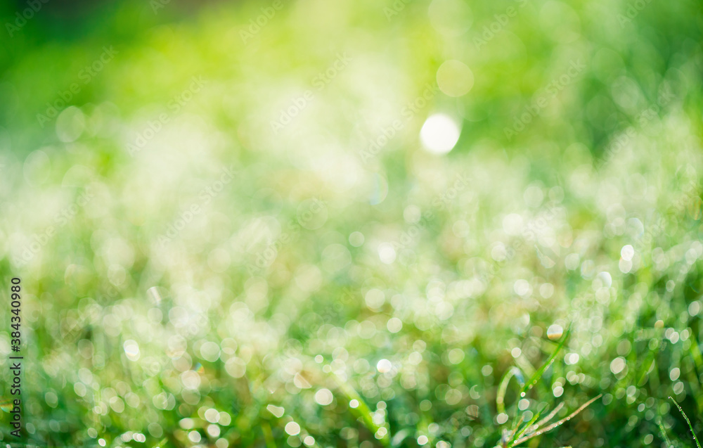 Green abstract bokeh light background. Green abstract bokeh light background.
