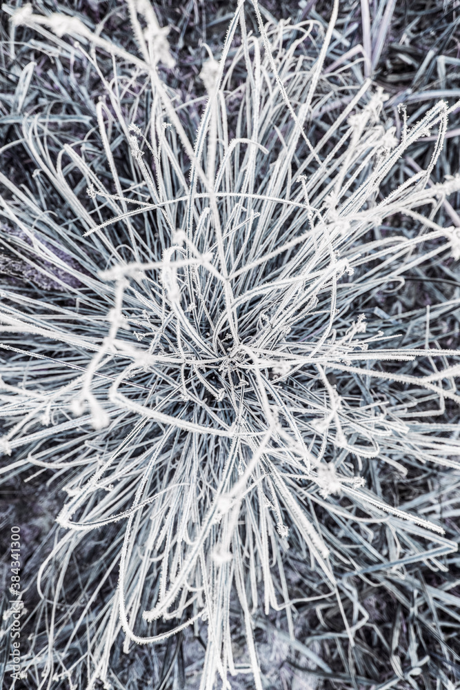 abstract winter abstract winter