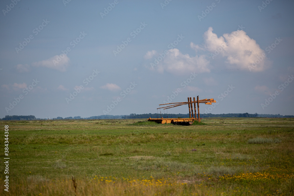Fototapeta premium culture in field