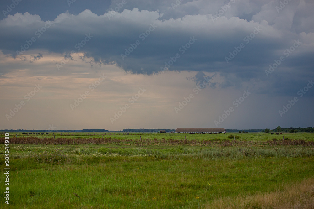 clouds over the fied