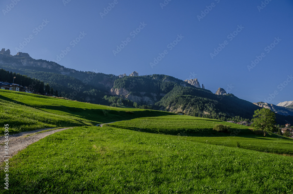 Sun lit, green alpine meadows and pine woods around Vigo di Fassa village in Fassa valley, Dolomites, Trentino-Alto Adige region, South Tirol, Italy.