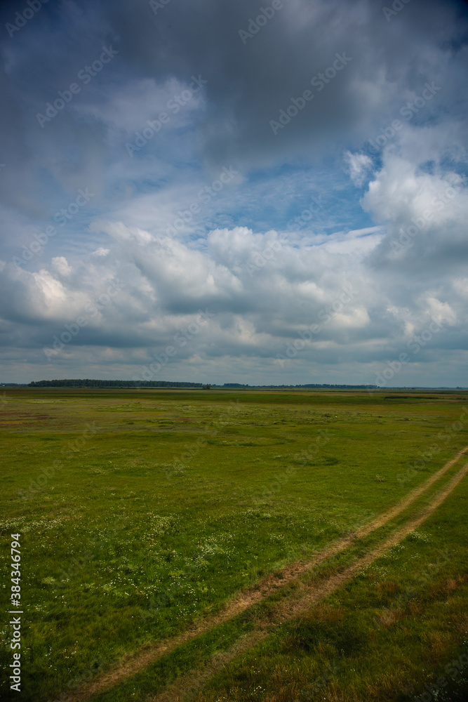 field and sky field and sky