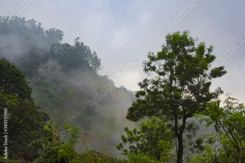 Scenic Views of Hill Station in Kerala © Sheriff
