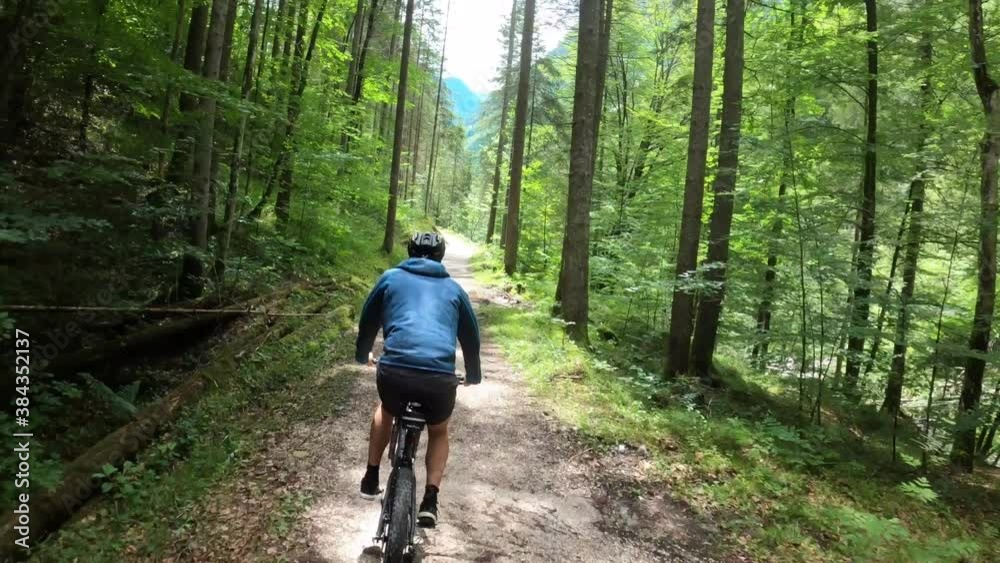 Mountain Biker MTB riding a trail through a lush forest, Austrian Alps, Ausseerland, Salzkammergut, Austria Mountain Biker MTB riding a trail through a lush forest, Austrian Alps, Ausseerland, Salzkammergut, Austria