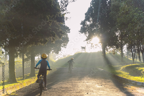 two boys riding a bike in the beautiful morning, foggy morning with ray of light through pine tree. soft focus image caused of fog 