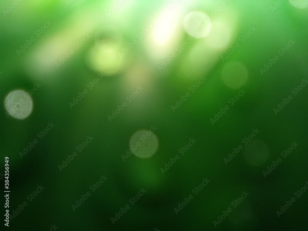 Fototapeta premium green bokeh background