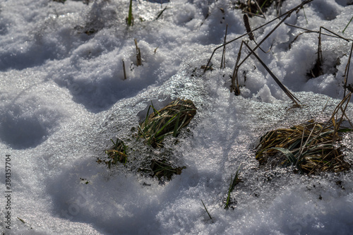 Melting spring snow on the field. Fragments close up.